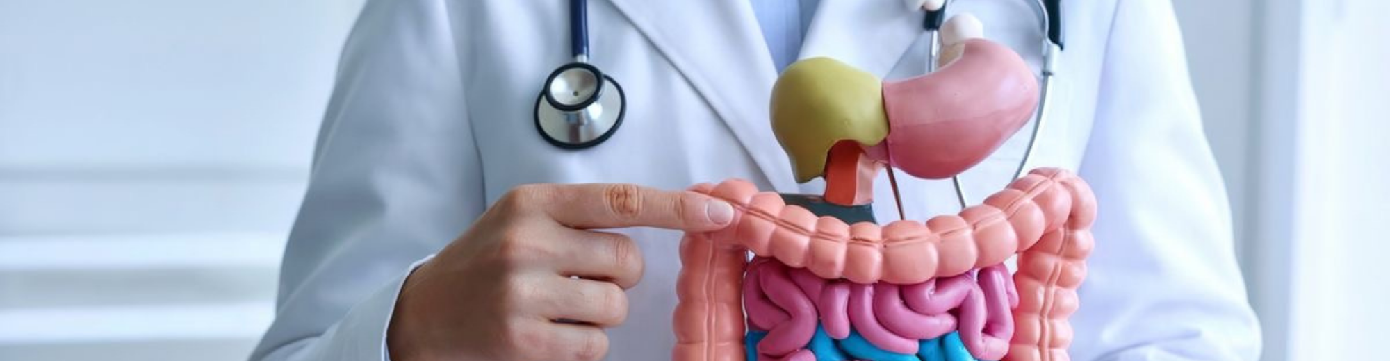 გასტროენტეროლოგია